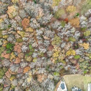 Photo #12 of Tract B Stream, Indian Land, SC