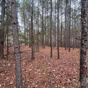 Photo #4 of TBD Hwy 109, Peachland, NC