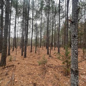 Photo #2 of TBD Hwy 109, Peachland, NC