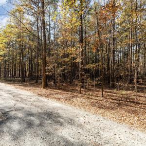 Photo #1 of Rose, Indian Trail, NC