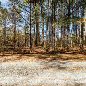 Photo #3 of Rose, Indian Trail, NC