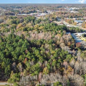 Photo #3 of Rose, Indian Trail, NC