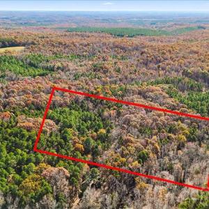 Photo #2 of 4875 Yellow Poplar, Concord, NC