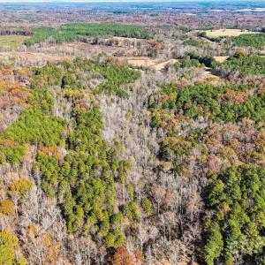 Photo #7 of 4875 Yellow Poplar, Concord, NC