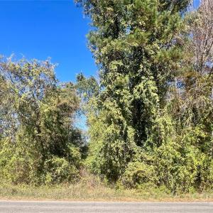 Photo #2 of John Everall, Lancaster, SC