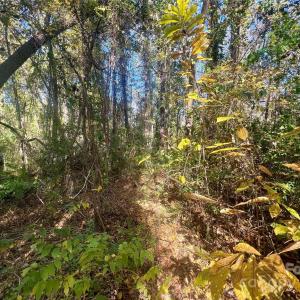 Photo #15 of John Everall, Lancaster, SC