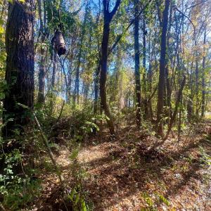 Photo #12 of John Everall, Lancaster, SC