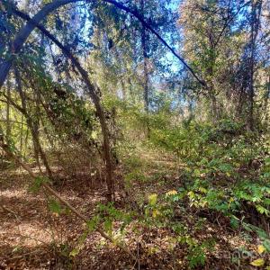 Photo #14 of John Everall, Lancaster, SC