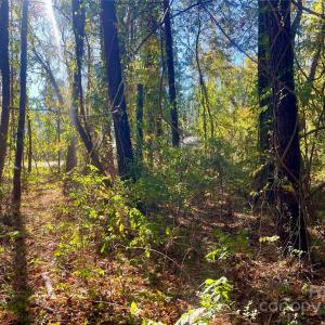 Photo #9 of John Everall, Lancaster, SC