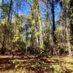 Photo #7 of John Everall, Lancaster, SC