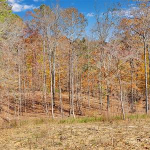 Photo #9 of 1470 Trotter, Mount Pleasant, NC