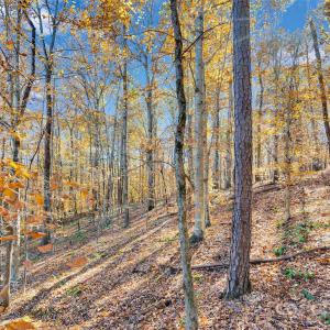 Photo #19 of 1470 Trotter, Mount Pleasant, NC