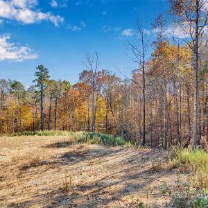 Photo #5 of 1470 Trotter, Mount Pleasant, NC