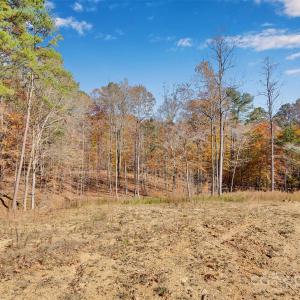 Photo #7 of 1470 Trotter, Mount Pleasant, NC