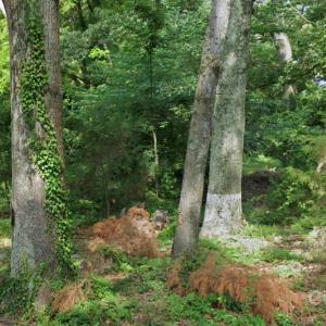 Photo #4 of Buick, Kannapolis, NC