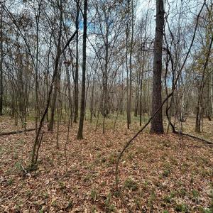 Photo #16 of 3080 Charlotte, Lancaster, SC