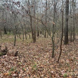 Photo #17 of 3080 Charlotte, Lancaster, SC