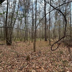 Photo #15 of 3080 Charlotte, Lancaster, SC