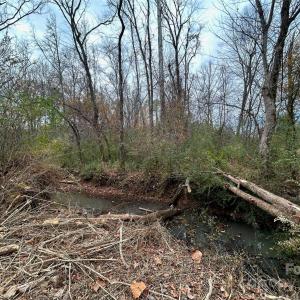 Photo #9 of 3080 Charlotte, Lancaster, SC