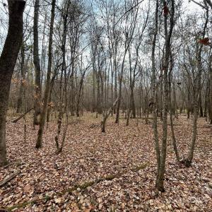 Photo #14 of 3080 Charlotte, Lancaster, SC