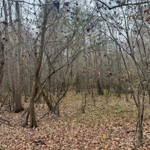 Photo #18 of 3080 Charlotte, Lancaster, SC