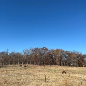 Photo #6 of Misty Pond, Marshville, NC