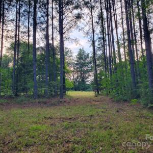 Photo #7 of Bovine, Richburg, SC