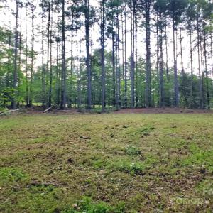 Photo #6 of Bovine, Richburg, SC