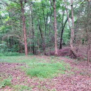 Photo #2 of Bovine, Richburg, SC