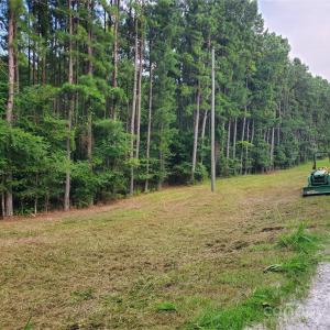 Photo #15 of Bovine, Richburg, SC