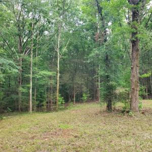 Photo #9 of Bovine, Richburg, SC
