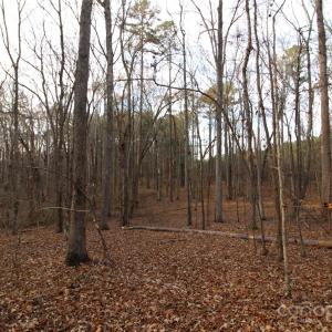 Photo #11 of Lot 1 14.5+/-AC Pioneer, York, SC