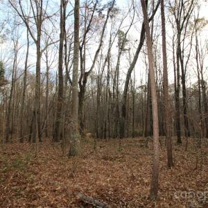 Photo #7 of Lot 1 14.5+/-AC Pioneer, York, SC