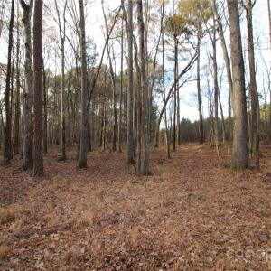 Photo #5 of Lot 1 14.5+/-AC Pioneer, York, SC