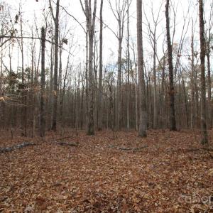Photo #14 of Lot 1 14.5+/-AC Pioneer, York, SC