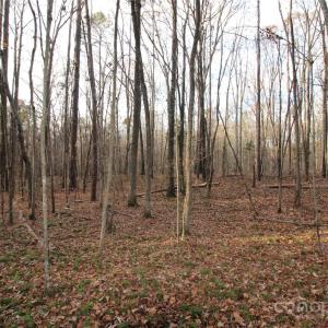Photo #6 of Lot 1 14.5+/-AC Pioneer, York, SC
