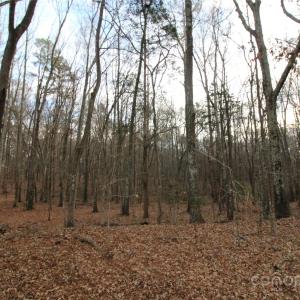 Photo #8 of Lot 1 14.5+/-AC Pioneer, York, SC
