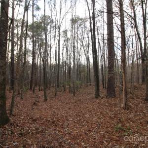 Photo #15 of Lot 1 14.5+/-AC Pioneer, York, SC