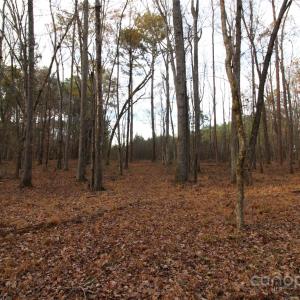 Photo #9 of Lot 1 14.5+/-AC Pioneer, York, SC
