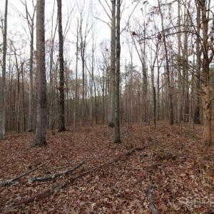 Photo #13 of Lot 1 14.5+/-AC Pioneer, York, SC