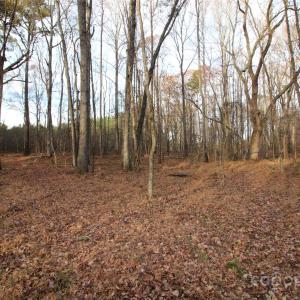 Photo #4 of 14.5+/-AC Pioneer, York, SC