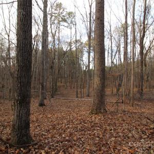 Photo #12 of 14.5+/-AC Pioneer, York, SC