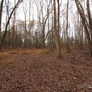 Photo #10 of 14.5+/-AC Pioneer, York, SC