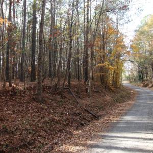 Photo #9 of 6+/-AC Bookout, Rock Hill, SC