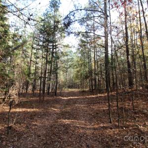 Photo #3 of 6+/-AC Bookout, Rock Hill, SC