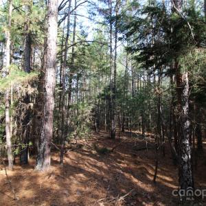 Photo #7 of 6+/-AC Bookout, Rock Hill, SC
