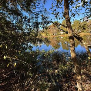 Photo #4 of 992 Potter, Lancaster, SC