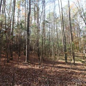 Photo #4 of 5+/-AC Bookout, Rock Hill, SC