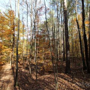 Photo #6 of 5+/-AC Bookout, Rock Hill, SC