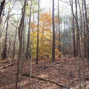 Photo #7 of 5+/-AC Bookout, Rock Hill, SC